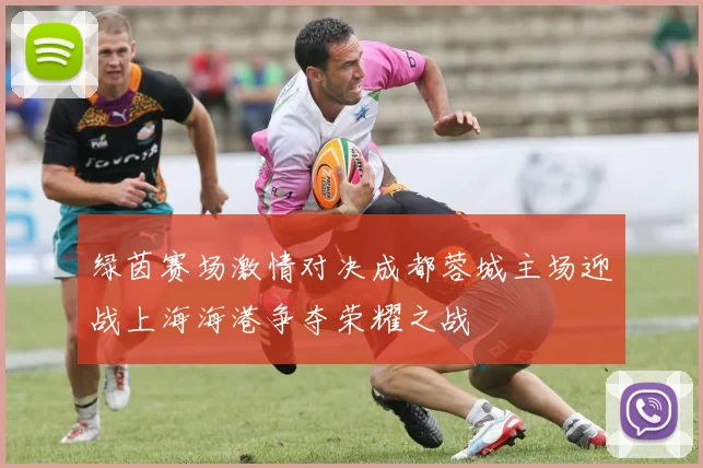 绿茵赛场激情对决成都蓉城主场迎战上海海港争夺荣耀之战